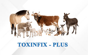 TOXINFIX - PLUS